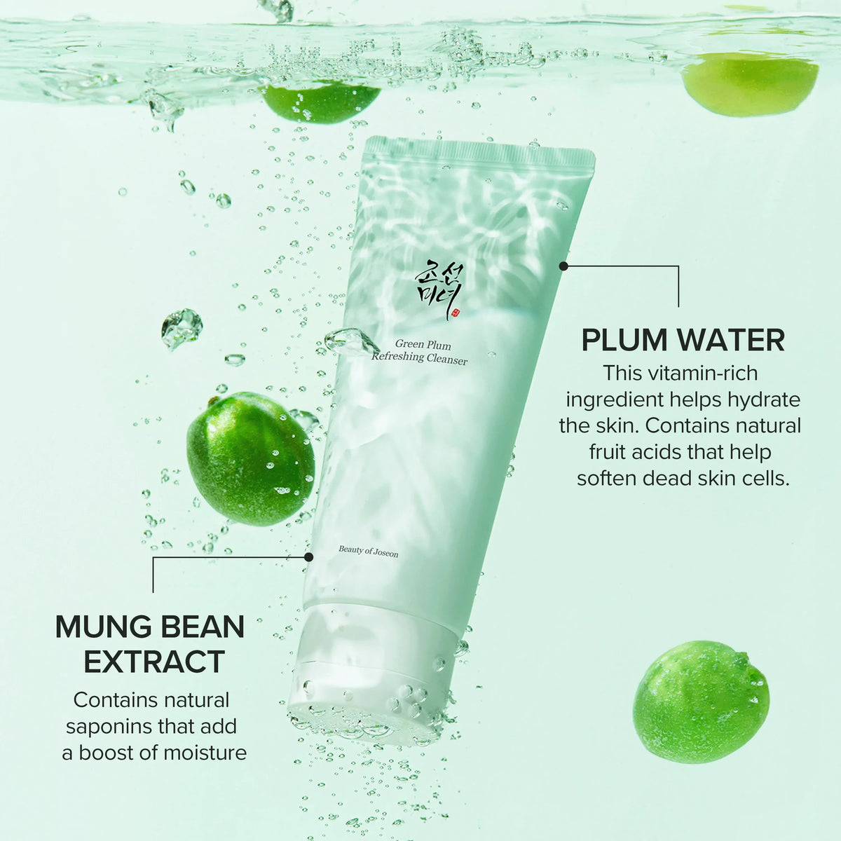 Green Plum Refreshing Cleanser 